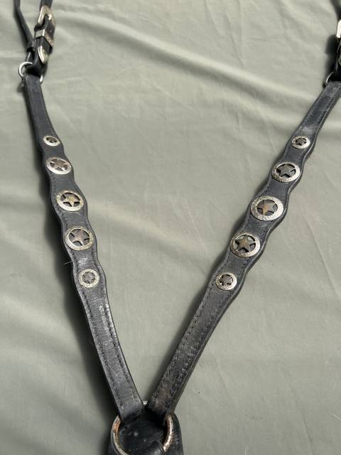 Collier de chasse &eacute;quitation  Cuir noir &eacute;toile en m&eacute;tal