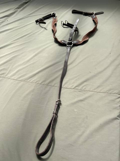 Collier de chasse équitation  Cuir marron élastique mar