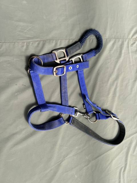 Licol combiné plat et corde éthologique équitation  Ble