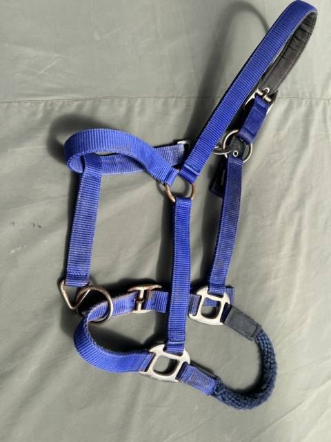 Licol combin&eacute; plat et corde &eacute;thologique &eacute;quitation  Ble