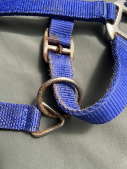 Licol combin&eacute; plat et corde &eacute;thologique &eacute;quitation  Ble