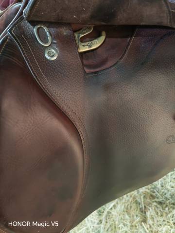 enssemble complet CWD SE02 (2018)17" sangle+Etrivieres