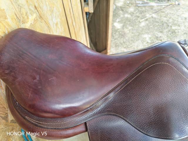 enssemble complet CWD SE02 (2018)17" sangle+Etrivieres