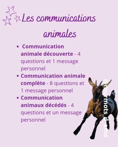 Communication animale 