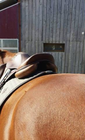 Selle Devoucoux Chiberta 17 pouces 2020