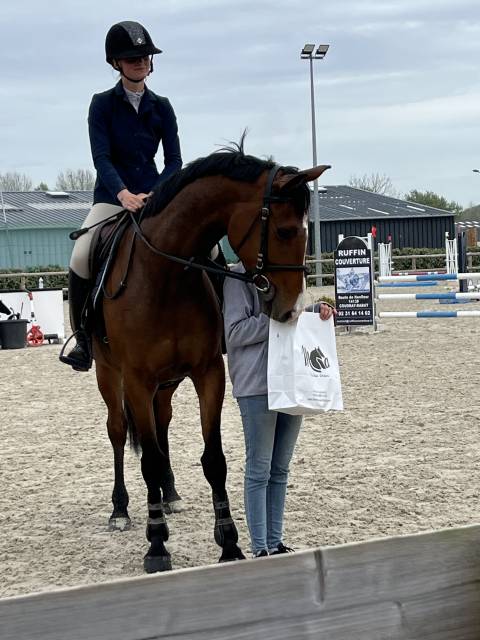 Stage ou apprentissage 