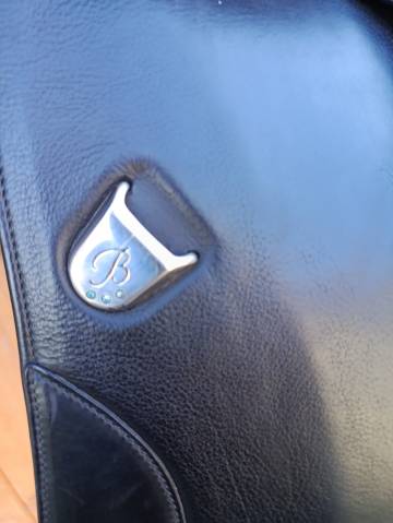 Belle selle bates artist noire 