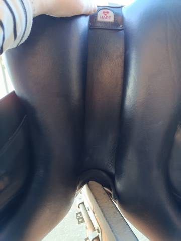 Belle selle bates artist noire 