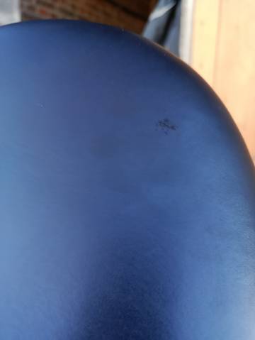 Belle selle bates artist noire 