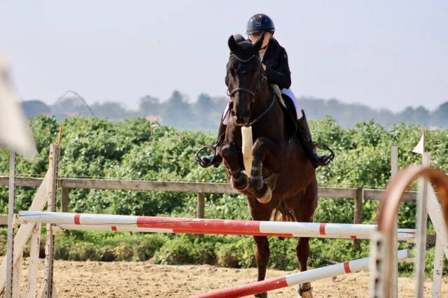 Recherche d'emploi à partir de septembre 2026