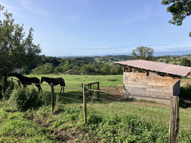 Ferme équestre