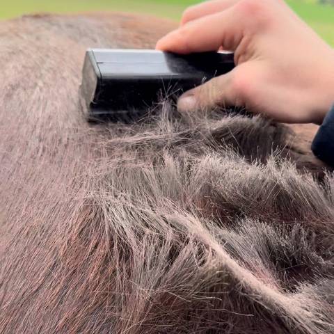 Shedz Groomer - Zilco - Pansage efficace et doux