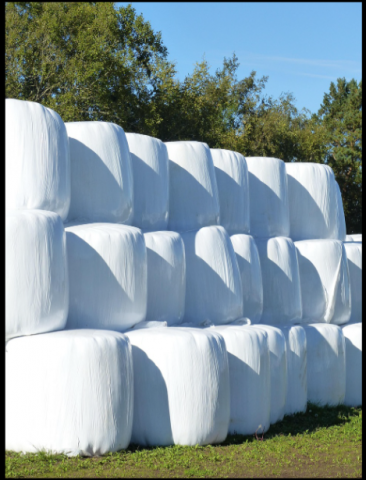 Foin naturel de prairies certifié BIO (ECOCERT)