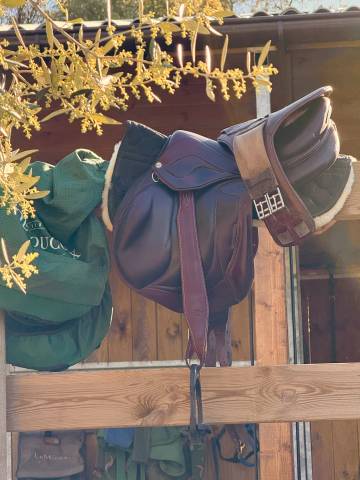 Lot chiberta lab + sangle bavette + étrivières monobran