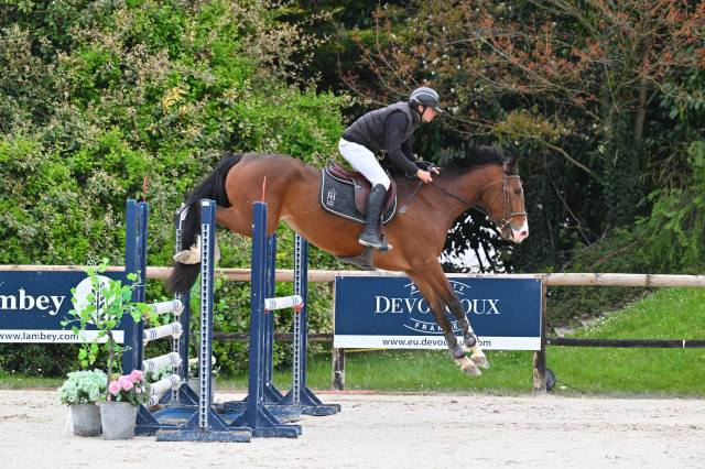 Excellente jument sf 