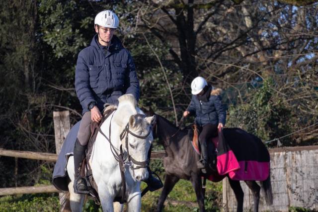 Habigri - gentil cheval ps de 12 ans