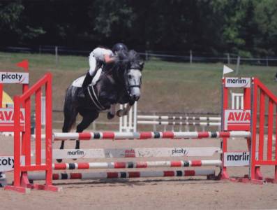 Ponette D Connemara 7 ans &ndash; id&eacute;al Hunter / CSO / CCE