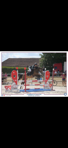 Poney &agrave; louer Galinka Lakshmi 