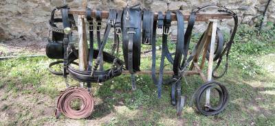 Harnais cheval de trait