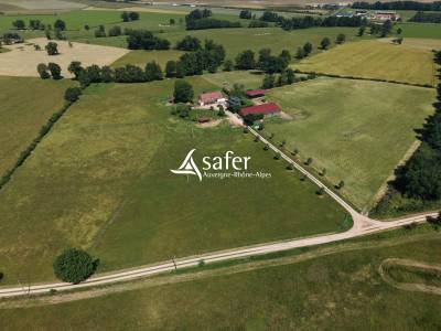 Maison r&eacute;nov&eacute;e avec 6 ha - Secteur LAPALISSE