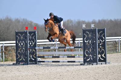 Hongre de 11 ans pour du loisir/CSO
