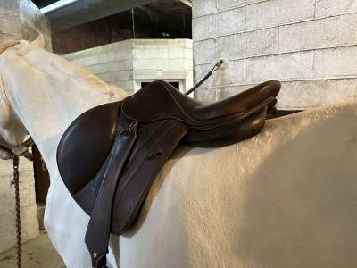 Selle Forestier S&eacute;oul 