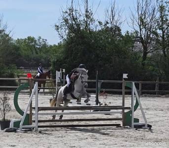 Ponette D 5 ans pour concours CSO et/ou Pony games 
