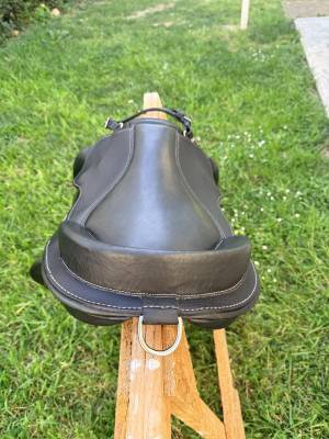 Bardette cross Guy Cantin 15,5