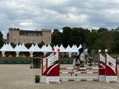 Poney CSO &agrave; vendre 