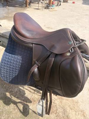 Selle prestige mono quartier 17,3