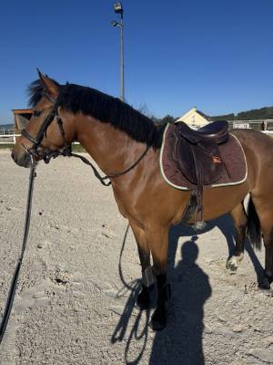 PFS de 4 ans par verry star 
