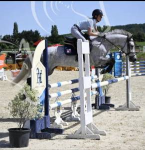&Agrave; vendre poney de sport