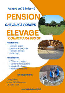 Pension &agrave; l'herbe avec carri&egrave;re, man&egrave;ge, rond...