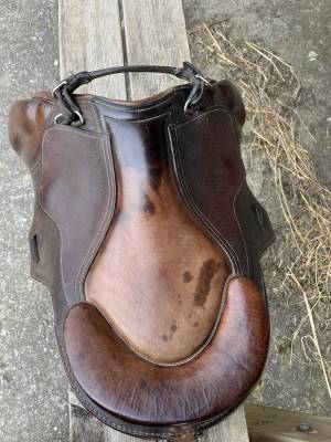 Selle Guy cantin