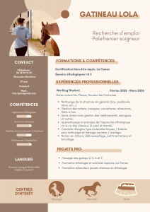 Recherche emploi palefrenier 