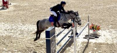 Hongre 9 ans - CSO AS