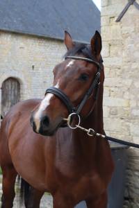 Neiti Casallo 4 ans