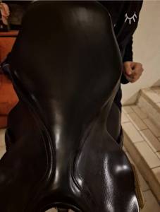 Selle forestier segonzac 