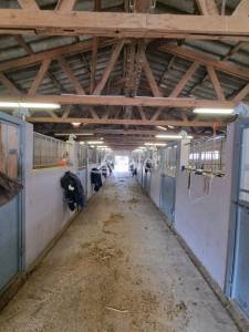 Ecuries sur 1,2 ha aux portes de B&eacute;ziers