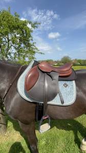 Selle jumpin 17,5