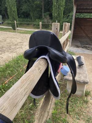 Selle Antares de dressage