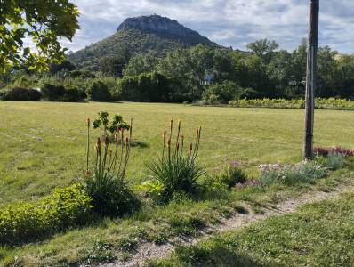 Propri&eacute;t&eacute; rurale : 1,43 ha, forage, d&eacute;pendances, maison