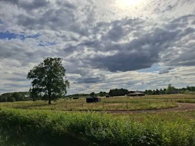 Propri&eacute;t&eacute; &eacute;questre sur plus de 5 hectares  Secteur For&ecirc;t