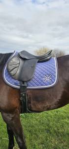 Selle brunet pineau