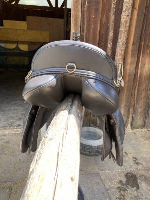 Selle mixte 17