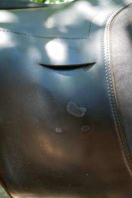 selle Ghost torino sans ar&ccedil;on