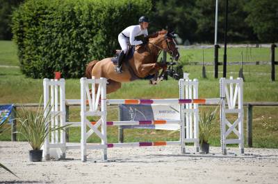 JEXICA DU PARC TOP 7  SELLE FRANCAIS MARE SCOPE 145 150