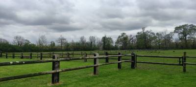 Pension pr&eacute; chevaux-11 ha- Entre Saint-L&ocirc; et Bayeux