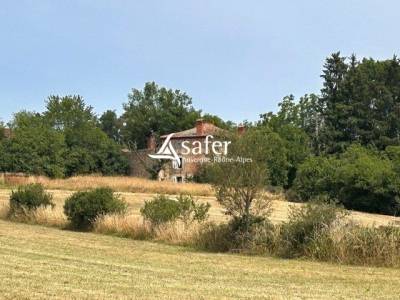 Propri&eacute;t&eacute; rurale en pierre avec d&eacute;pendances sur 3,9ha environ