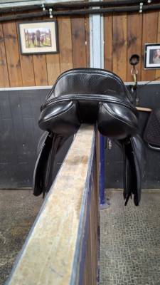 Selle 16" 